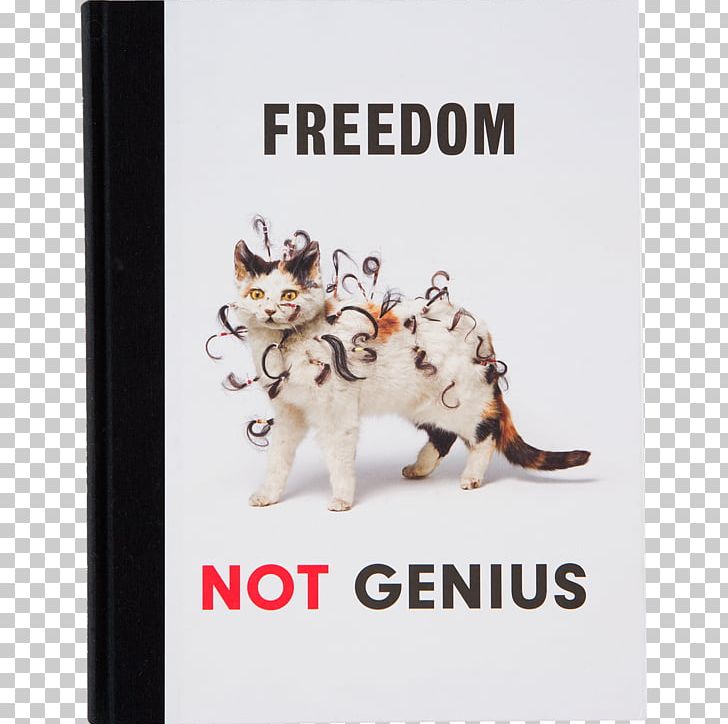 Freedom Not Genius: Works From The Murderme Collection Simulation/Skin Art Exhibition Catalogue Sculpture PNG, Clipart, Art, Art Exhibition, Carnivoran, Cat Like Mammal, Contemporary Art Free PNG Download