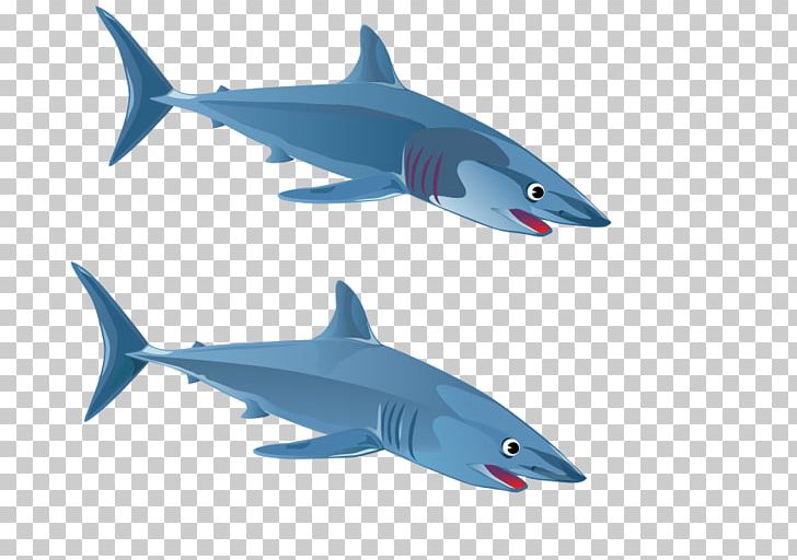 Great White Shark PNG, Clipart, Blue Shark, Cartilaginous Fish, Fauna, Fin, Fish Free PNG Download