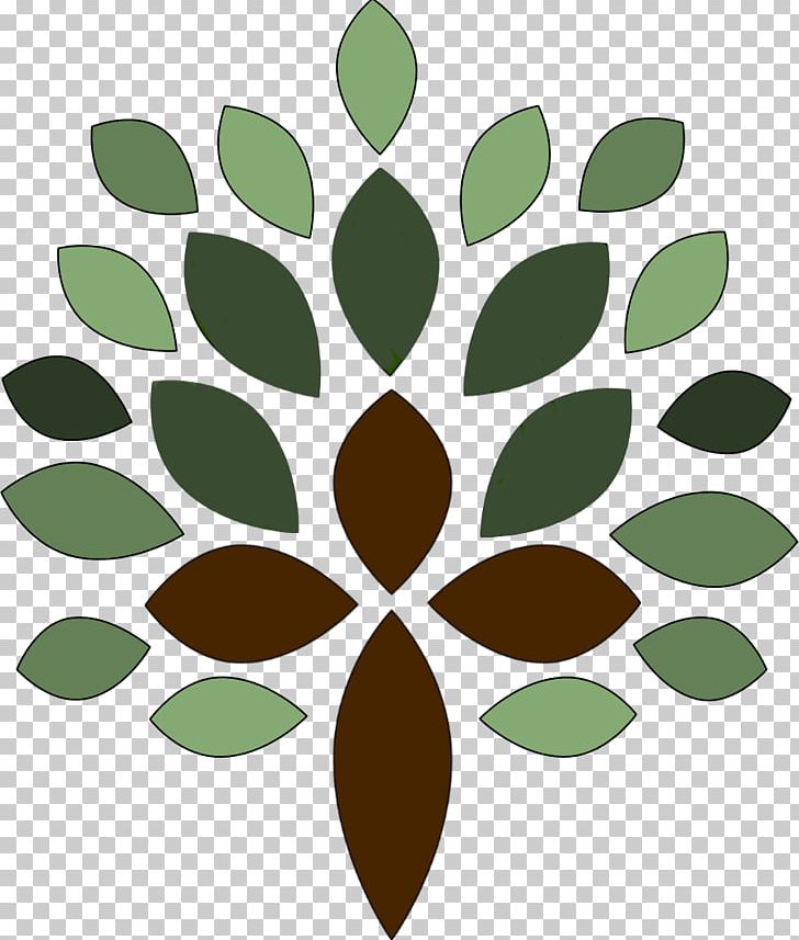 Leaf Plant Stem Tree PNG, Clipart, Circle, Grass, Green, Leaf, Nice Free PNG Download