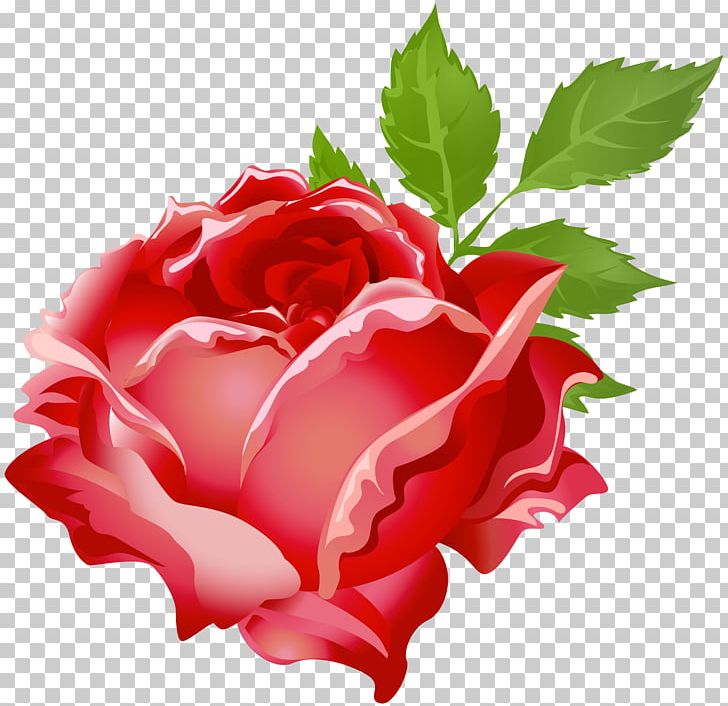 Purple Rose Tom Baxter PNG, Clipart, Carnation, China Rose, Clipart, Color, Cut Flowers Free PNG Download