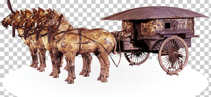 Terracotta Army Mausoleum Of The First Qin Emperor An Illustrated Brief History Of China: Culture PNG, Clipart, Cart, Chariot, China, Emperor Of China, History Free PNG Download
