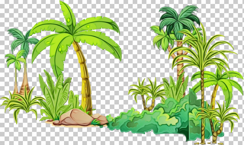 Palm Trees PNG, Clipart, Arecales, Branch, Flowerpot, Grasses, Houseplant Free PNG Download