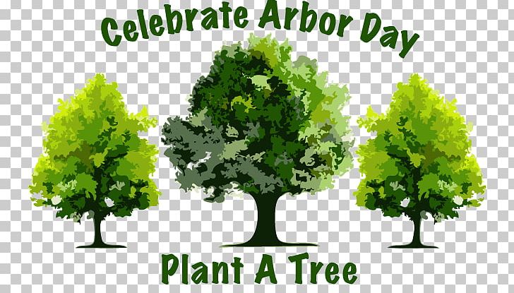 Decatur Nebraska El Cajon Arbor Day Tree PNG, Clipart, Agriculture, Arbor Day, Arbor Day Cliparts, Arbor Day Foundation, Decatur Free PNG Download