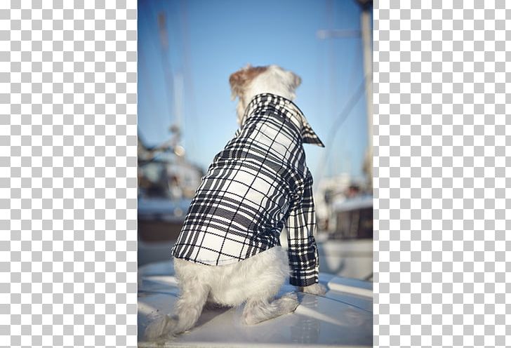Dog Clothes Tartan Snout Clothing PNG, Clipart, Animals, Clothing, Dog, Dog Clothes, Dog Like Mammal Free PNG Download