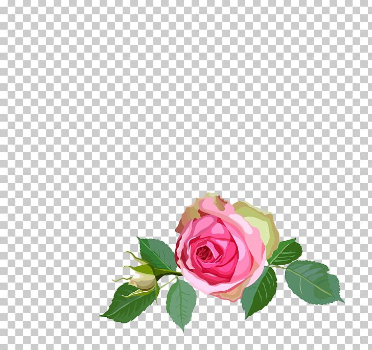 Garden Roses Floral Design Centifolia Roses Flower PNG, Clipart, Centifolia Roses, Cut Flowers, Drawing, Floral Design, Floristry Free PNG Download