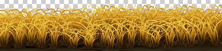 Grasses PNG, Clipart, Agriculture, Barley, Cereal, Color, Commodity Free PNG Download