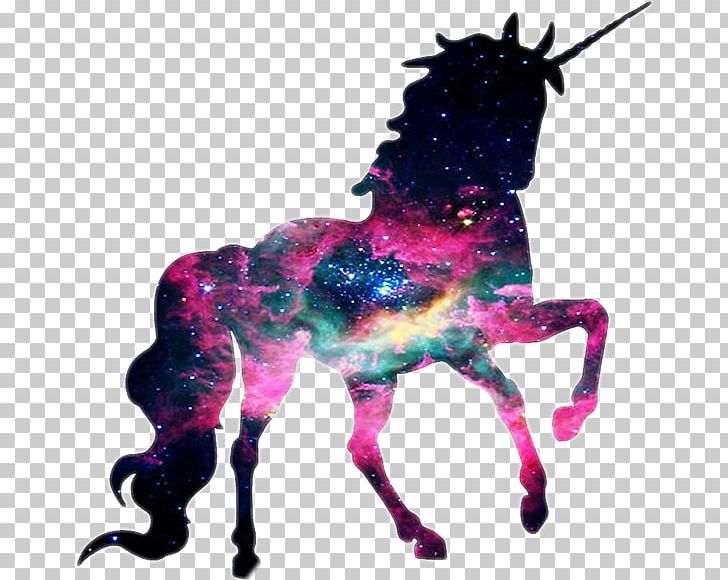 The Black Unicorn T-shirt Graphics Wall Decal PNG, Clipart, Aesthetics, Animal Figure, Art, Black Unicorn, Clothing Free PNG Download