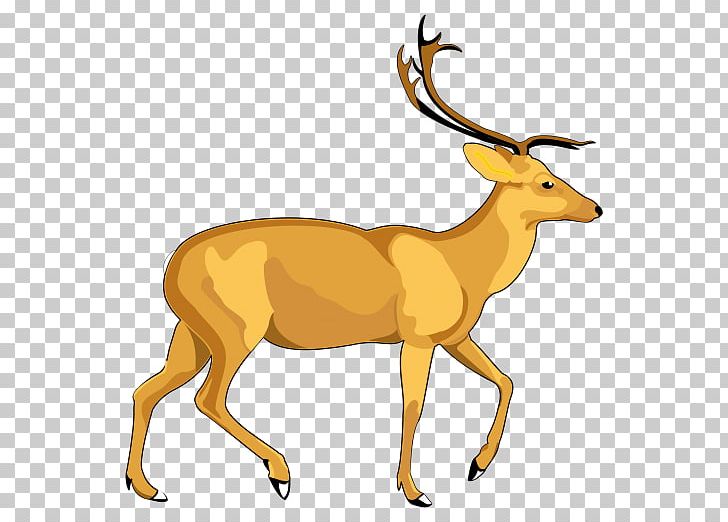 White-tailed Deer PNG, Clipart, Animal Figure, Animals, Antelope, Antler, Clip Art Free PNG Download