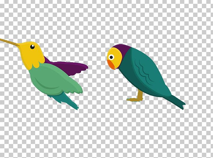 Bird Parrot Drawing PNG, Clipart, Animals, Animation, Beak, Cartoon, Common Pet Parakeet Free PNG Download