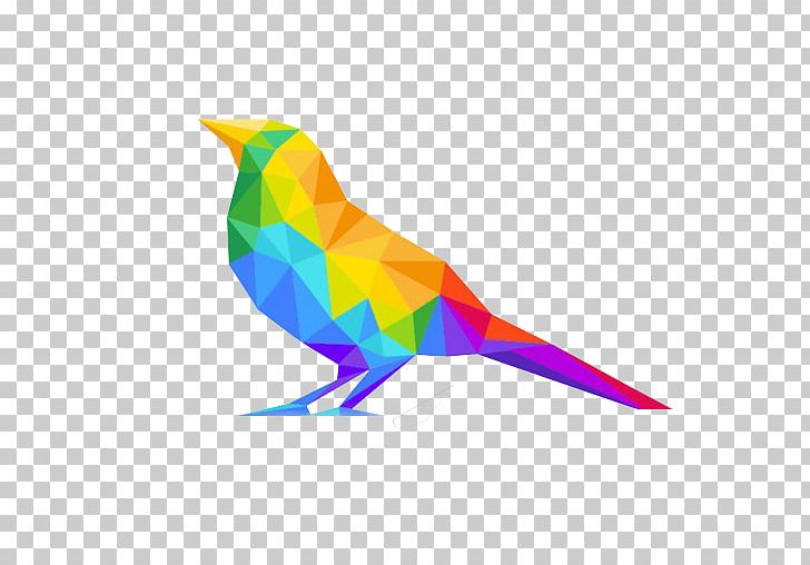 Bird Parrot Polygon PNG, Clipart, Animal, Animals, Art, Beak, Bird Free PNG Download