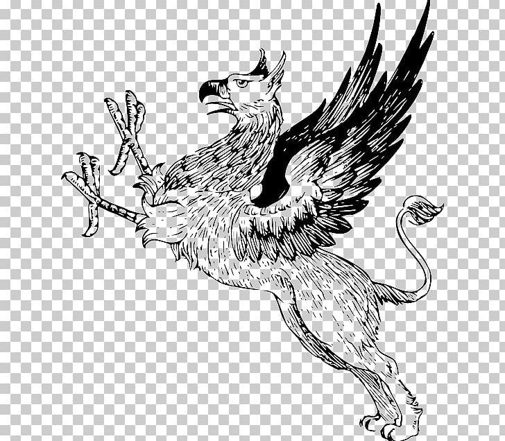 Griffin PNG, Clipart, Bird, Carnivoran, Cat Like Mammal, Chicken, Dog Like Mammal Free PNG Download