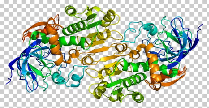 Alcohol Dehydrogenase Enzyme Formate Dehydrogenase PNG, Clipart, Adh5, Alcohol, Alcohol Flush Reaction, Alcoholic Drink, Art Free PNG Download