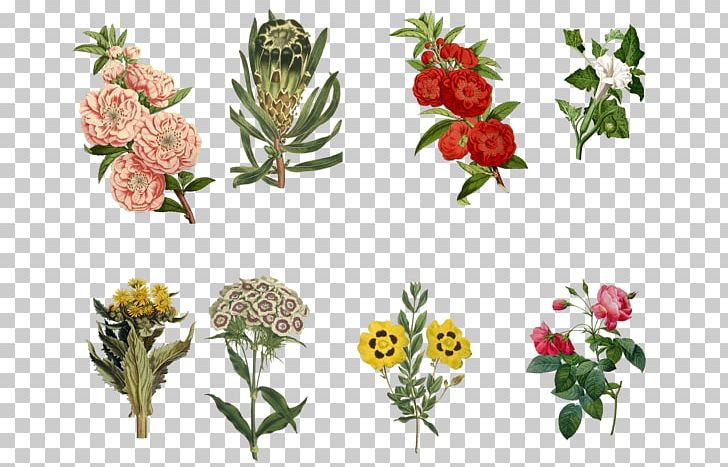 Floral Design Cut Flowers Rose PNG, Clipart, Art, Background Tumblr, Cut Flowers, Flora, Floral Design Free PNG Download