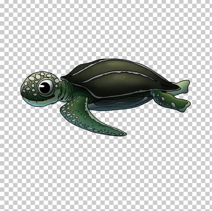 Sea Turtle Pond Turtles PNG, Clipart, Emydidae, Reptile, Sea Turtle, Turtle Free PNG Download