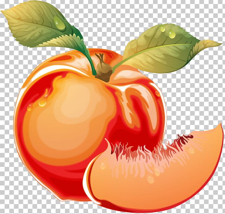 Peach PNG, Clipart, Apple, Apricot, Diet Food, Download, Drawing Free PNG Download