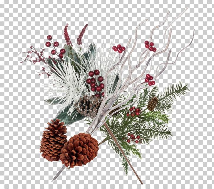 Pine Conifer Cone Spruce Christmas Ornament Fir PNG, Clipart, Art, Branch, Christmas Day, Christmas Decoration, Christmas Ornament Free PNG Download