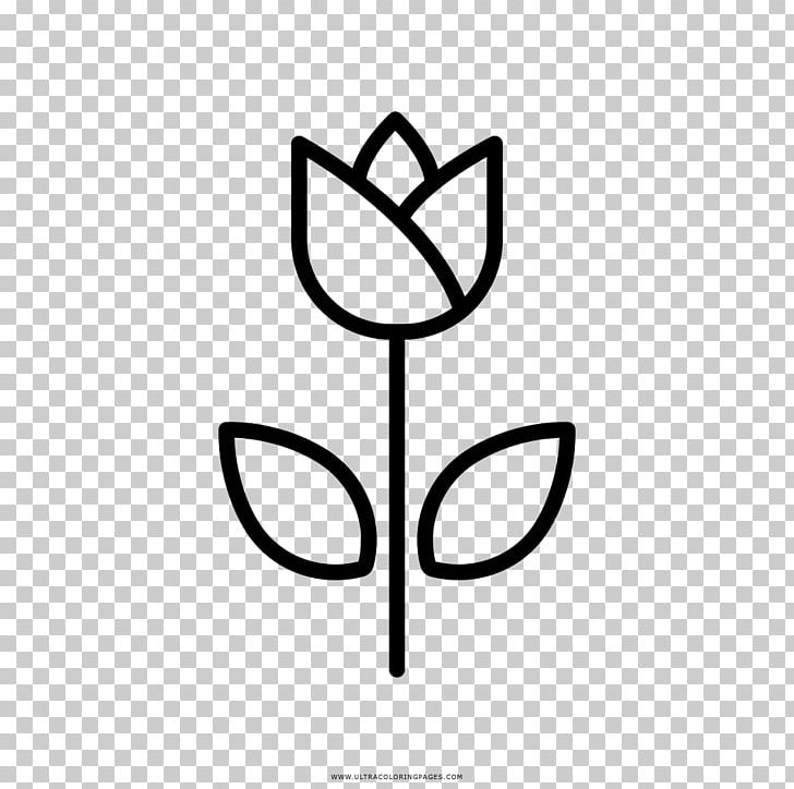 Tulip Drawing Coloring Book Flower Blume PNG, Clipart, Adibide, Angle, Area, Black And White, Blume Free PNG Download