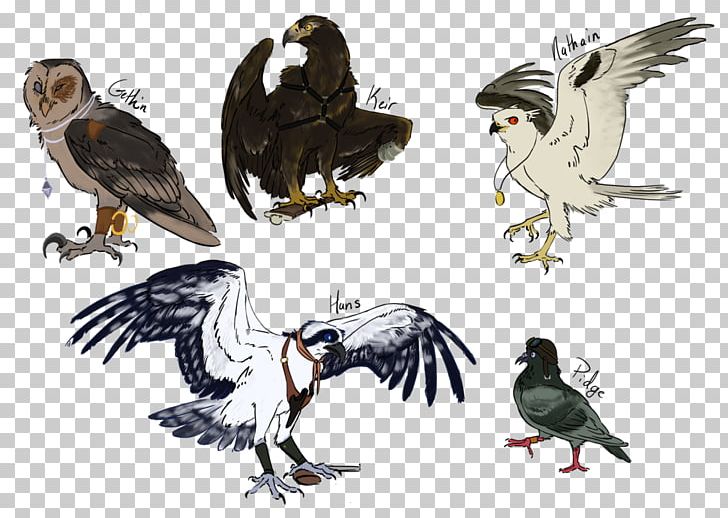 Bald Eagle Bird Hawk Vulture Drawing PNG, Clipart, Accipitriformes, Animals, Art, Bald Eagle, Beak Free PNG Download