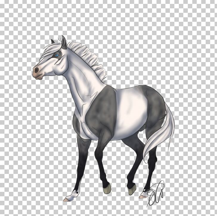 Mane Horse Stallion Mare Ares Lusitani PNG, Clipart, Animals, Ares Lusitani, Art, Black And White, Bridle Free PNG Download