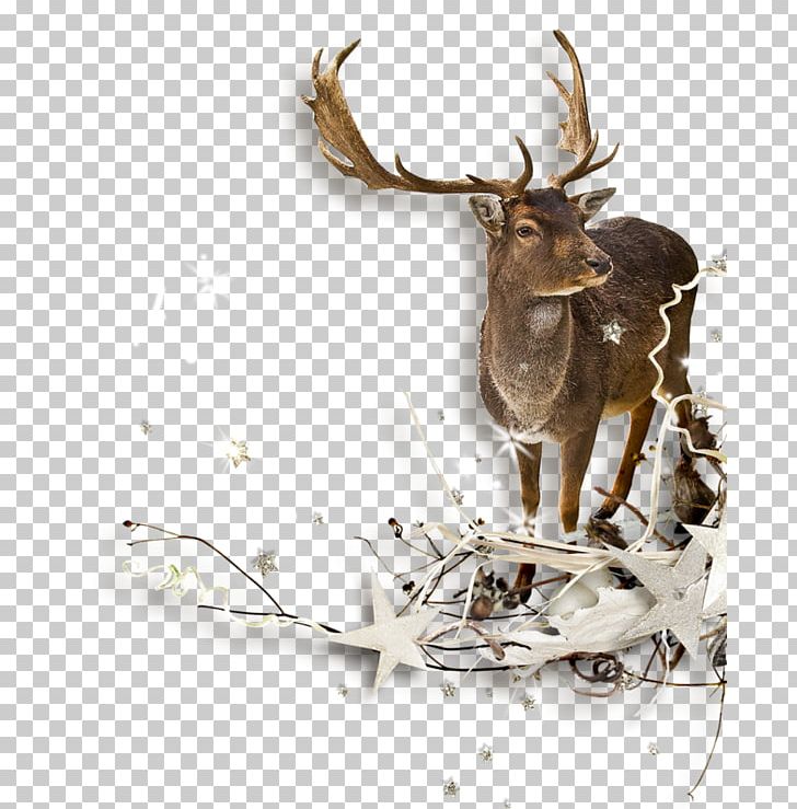 Reindeer PNG, Clipart, 3d Computer Graphics, Antler, Cartoon, Christmas Decoration Png, Deer Free PNG Download