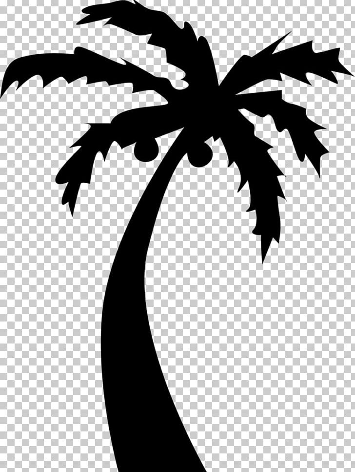 Arecaceae Tree PNG, Clipart, Arecaceae, Arecales, Balsam Fir, Black And White, Branch Free PNG Download