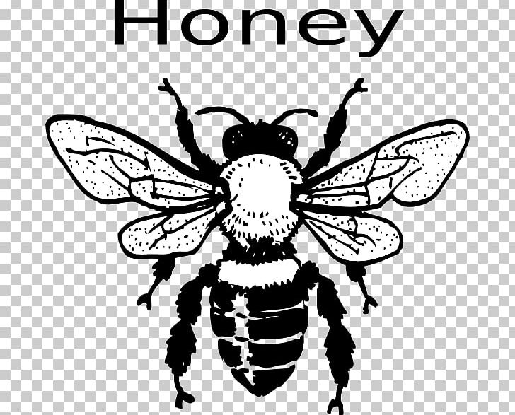 European Dark Bee Black And White Honey Bee PNG, Clipart, Arthropod, Artwork, Bee, Blog, Bumblebee Free PNG Download