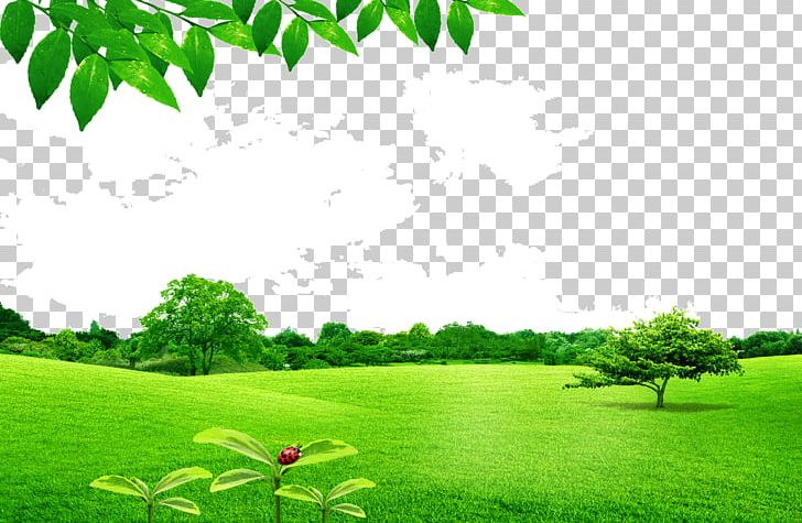 Leafy Lawn PNG, Clipart, Computer Graphics, Computer Wallpaper, Daytime, Desktop Wallpaper, Ecosystem Free PNG Download