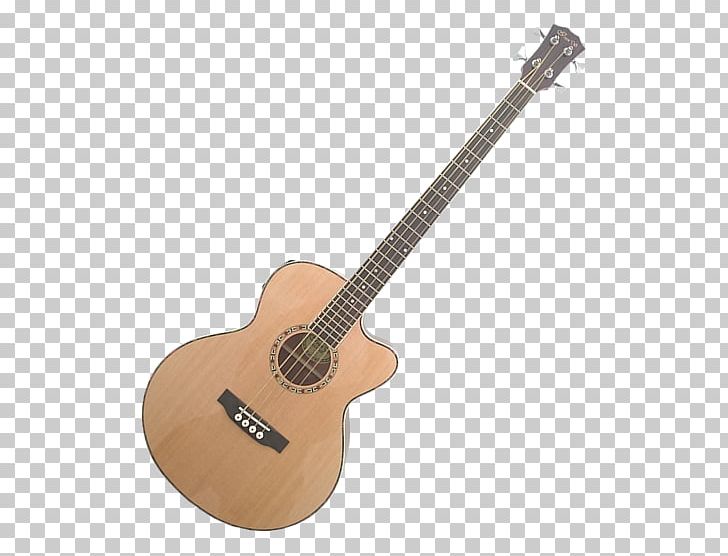 Steel-string Acoustic Guitar Acoustic-electric Guitar Twelve-string Guitar PNG, Clipart,  Free PNG Download