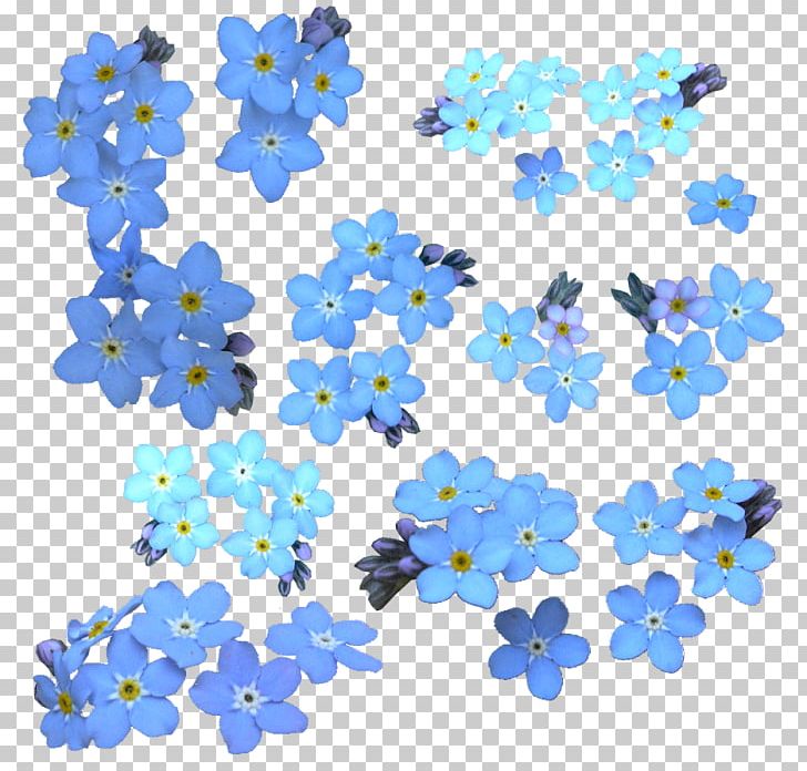 Water Forget-Me-Not PNG, Clipart, Art, Art Design, Blue, Body Jewelry, Borage Family Free PNG Download