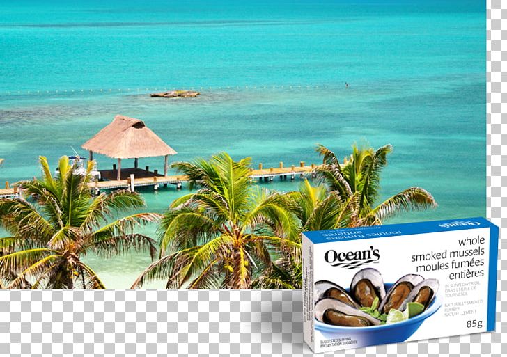 Caribbean Isla Holbox Vacation Isla Mujeres Caribe PNG, Clipart, Advertising, Beach, Cancun, Caribbean, Caribbean Sea Free PNG Download