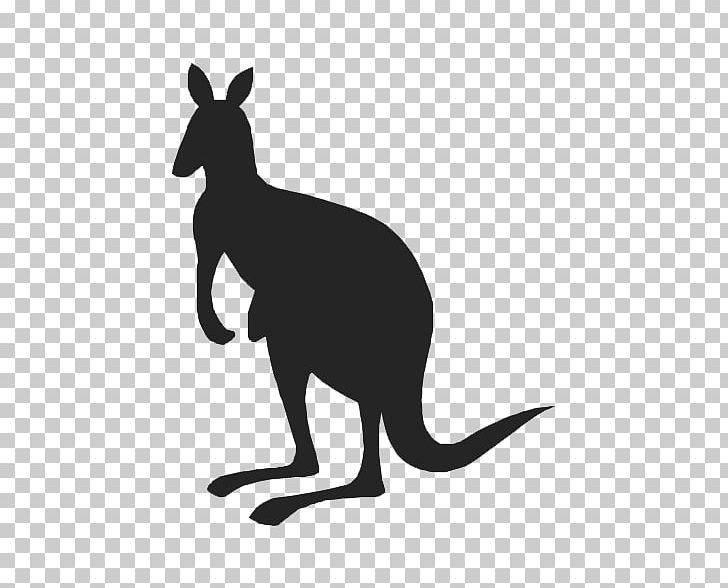 Kangaroo Silhouette Drawing PNG, Clipart, Animal, Animals, Black And White, Common, Conceptdraw Office Free PNG Download