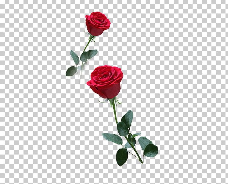 Paper Rose PNG, Clipart, Artificial Flower, Beautiful, Bright, Cut, Flower Free PNG Download