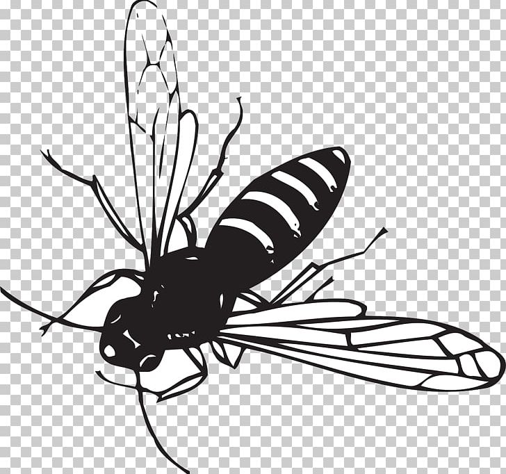 Worker Bee Insect Drawing PNG, Clipart, Arthropod, Artwork, Bee, Black And White, Brush Footed Butterfly Free PNG Download