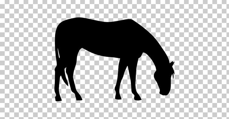 American Quarter Horse American Paint Horse Colt Silhouette PNG, Clipart, American Quarter Horse, Animal, Animals, Black And White, Bridle Free PNG Download