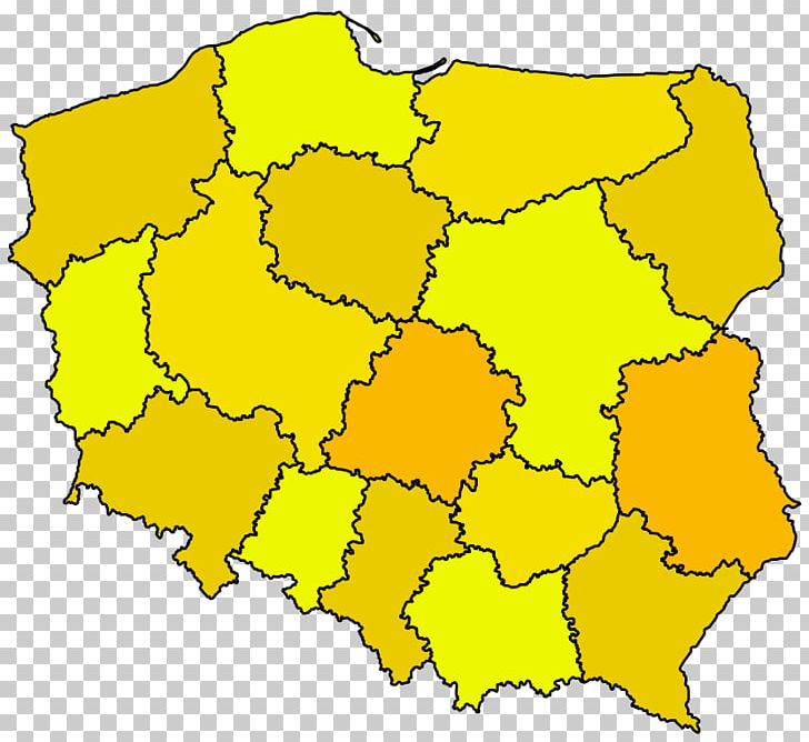 Anmediq S.c. World Map Voivodeships Of Poland Administrative Divisions Of Poland PNG, Clipart, Administrative Divisions Of Poland, Anmediq Sc, Area, Cartography, City Free PNG Download