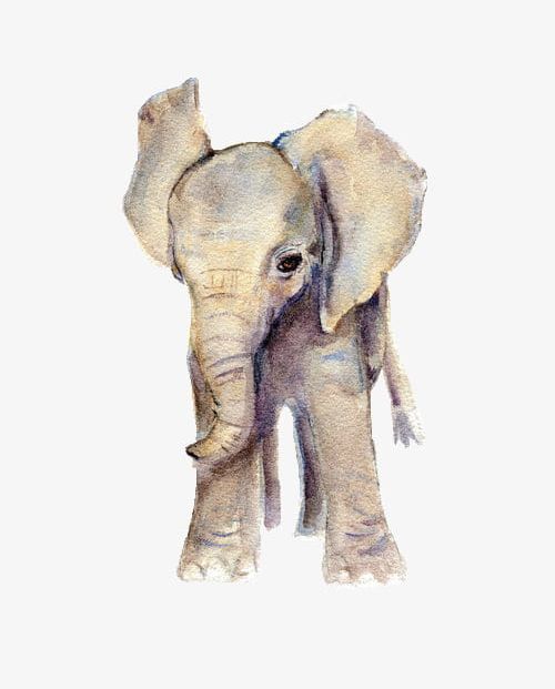 Cute Elephant PNG, Clipart, Animal, Cute Clipart, Cute Clipart, Elephant, Elephant Clipart Free PNG Download