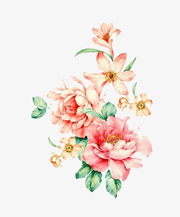 Hand-painted Flowers PNG, Clipart, Business, Business, Design, Flower, Flower Free PNG Download
