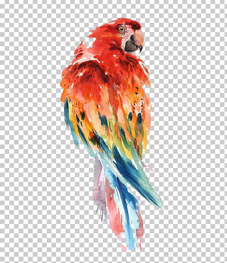 Parrot Watercolor Painting Bird Drawing Art PNG, Clipart, Animal, Art, Artist, Beak, Bird Free PNG Download