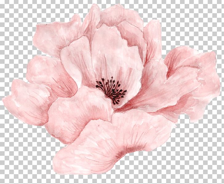 Pink Flowers Portable Network Graphics Rose PNG, Clipart, Blossom, Bohemian Flowers, Cherry Blossom, Cut Flowers, Desktop Wallpaper Free PNG Download