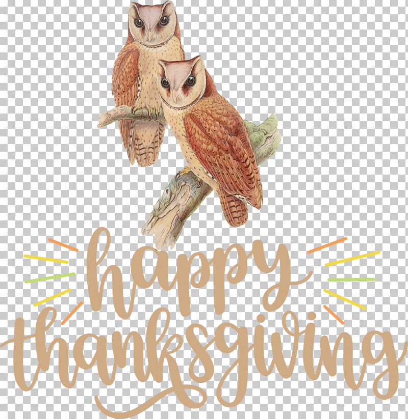 Birds Beak Bird Of Prey Owl M Meter PNG, Clipart, Beak, Biology, Bird Of Prey, Birds, Happy Thanksgiving Free PNG Download