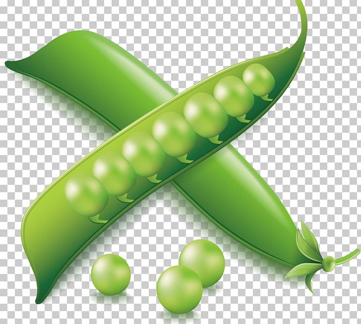 Vegetable Euclidean Icon PNG, Clipart, Beans, Christmas Snow, Common Bean, Download, Encapsulated Postscript Free PNG Download
