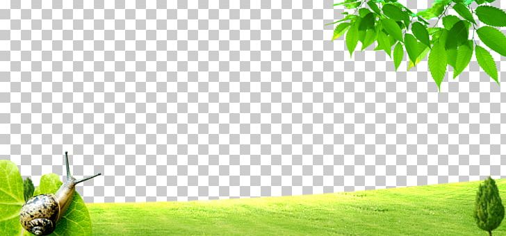Green Lawn Poster PNG, Clipart, Adv, Background Green, Computer Wallpaper, Designer, Energy Free PNG Download