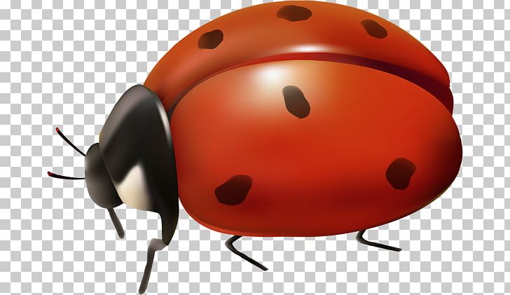Ladybird Desktop PNG, Clipart, Animation, Art, Arthropod, Art Museum, Beetle Free PNG Download