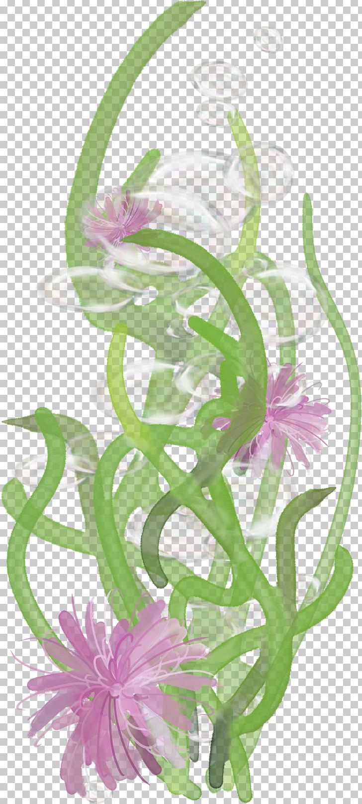 Rattan Floral Design PNG, Clipart, Algae, Animated Film, Cartoon, Cut Flowers, Flora Free PNG Download
