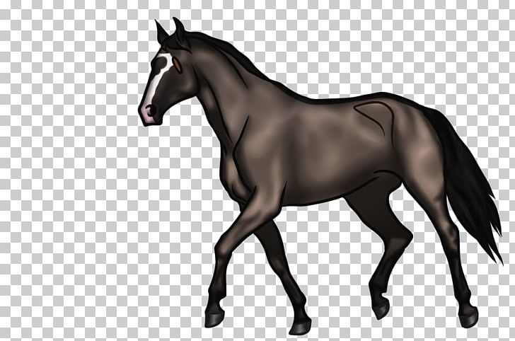 Foal Mane Mare Mustang Stallion PNG, Clipart, Bridle, Colt, English Riding, Equestrian, Equestrian Sport Free PNG Download