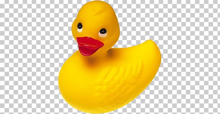 Rubber Duck PNG, Clipart, Adobe Rgb Color Space, Adobe Systems, Animals, Beak, Bird Free PNG Download