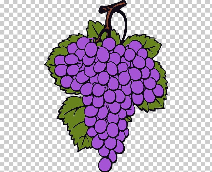 Wine Common Grape Vine Grappa PNG, Clipart, Cartoon Grapes Cliparts, Circle, Common Grape Vine, Creative Arts, Flora Free PNG Download