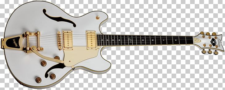 Acoustic-electric Guitar Schecter Guitar Research Cheap Trick PNG, Clipart, Acoustic Electric Guitar, Country, Guitar Accessory, Musical Instrument Accessory, Objects Free PNG Download