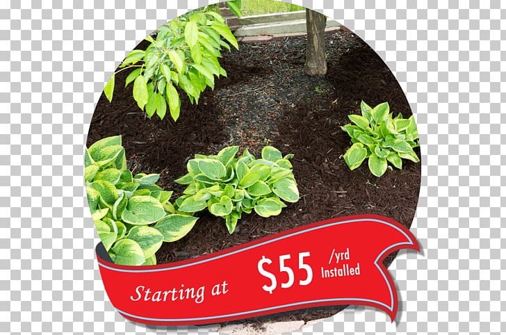 Mulch Flower Garden Gardening Bark PNG, Clipart, Bark, Chestnut, Flower Garden, Flowerpot, Garden Free PNG Download