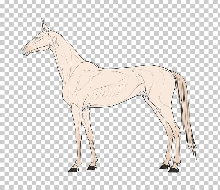 Mule Foal Stallion Mare Colt PNG, Clipart, Bridle, Colt, Donkey, Fauna, Fictional Character Free PNG Download